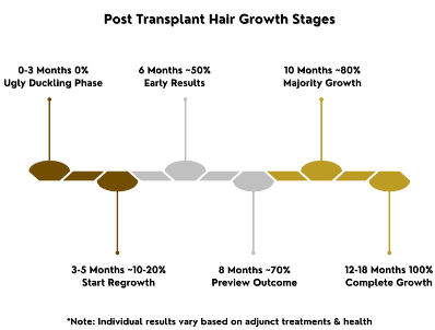 hair transplant before and after